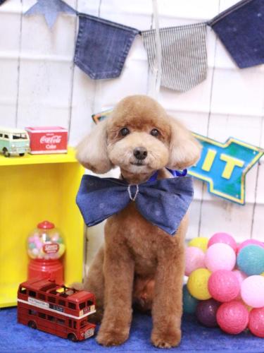 20230413バディくん